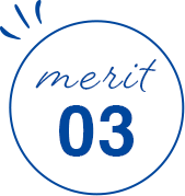 merit 03